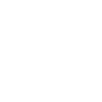 bg3