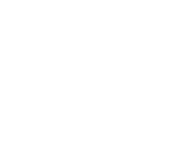 bg3