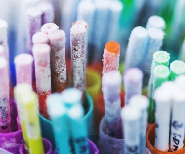 Einfrieren von Embryonen (Kryokonservierung)