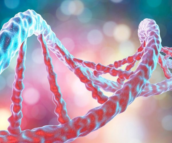 Single Gene Disorders