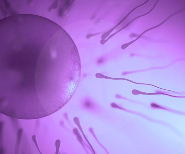 Метод за обединяване на ембриони