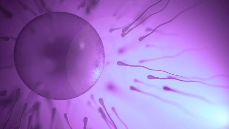 Η μέθοδος συγκέντρωσης εμβρύων